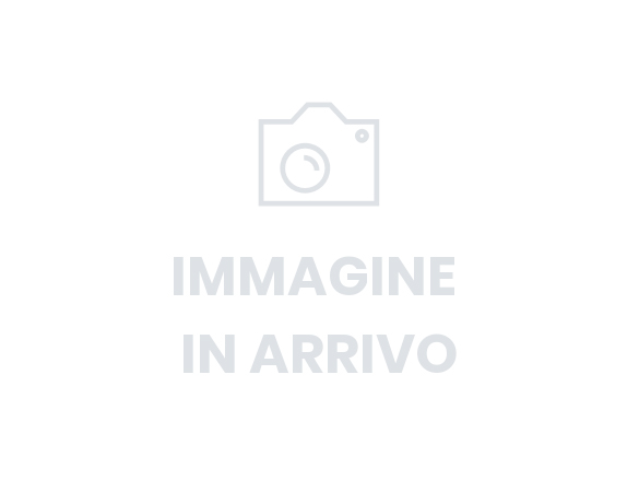FIAT 500 1.2 Dualogic Lounge